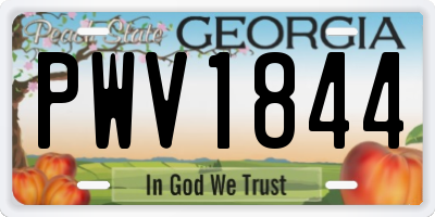 GA license plate PWV1844