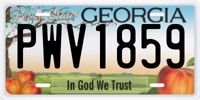 GA license plate PWV1859