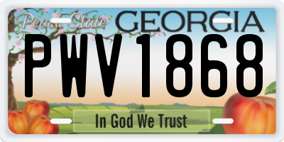 GA license plate PWV1868