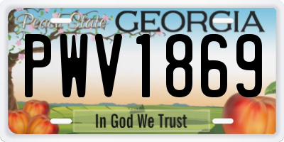 GA license plate PWV1869