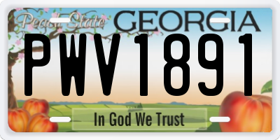 GA license plate PWV1891
