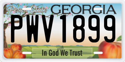 GA license plate PWV1899