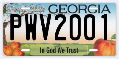 GA license plate PWV2001
