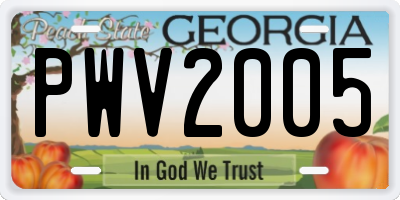 GA license plate PWV2005
