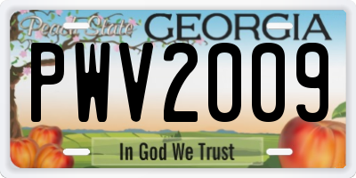 GA license plate PWV2009