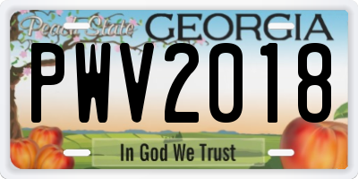 GA license plate PWV2018