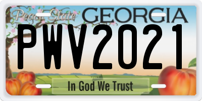 GA license plate PWV2021