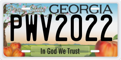 GA license plate PWV2022