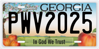 GA license plate PWV2025
