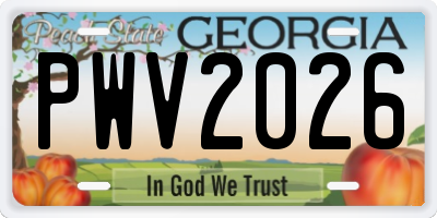 GA license plate PWV2026