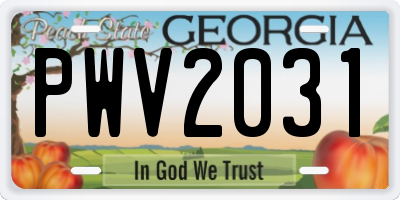 GA license plate PWV2031