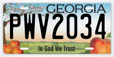 GA license plate PWV2034