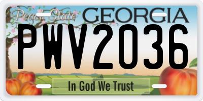GA license plate PWV2036