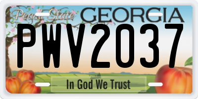 GA license plate PWV2037