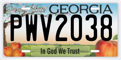 GA license plate PWV2038