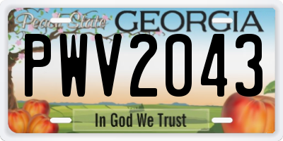 GA license plate PWV2043