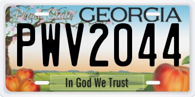 GA license plate PWV2044