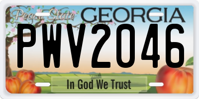 GA license plate PWV2046