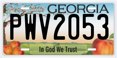 GA license plate PWV2053
