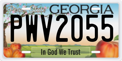 GA license plate PWV2055