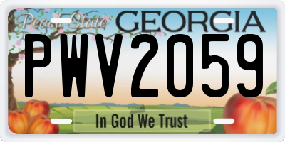 GA license plate PWV2059