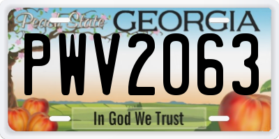 GA license plate PWV2063