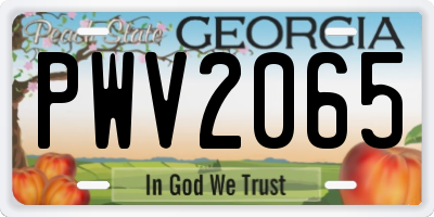 GA license plate PWV2065