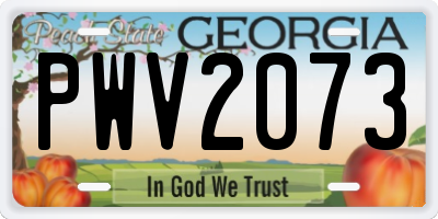 GA license plate PWV2073