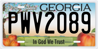 GA license plate PWV2089