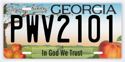 GA license plate PWV2101