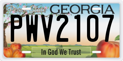 GA license plate PWV2107