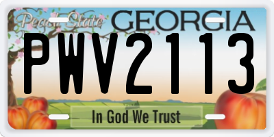 GA license plate PWV2113