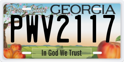 GA license plate PWV2117