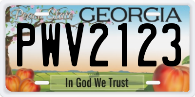 GA license plate PWV2123