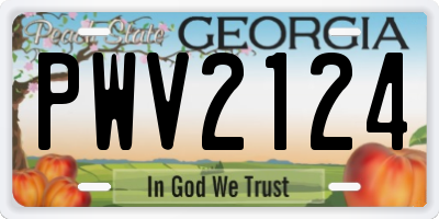 GA license plate PWV2124