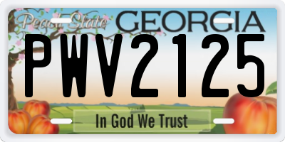 GA license plate PWV2125