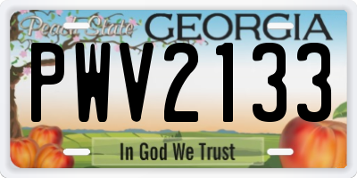 GA license plate PWV2133