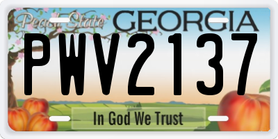 GA license plate PWV2137