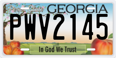 GA license plate PWV2145