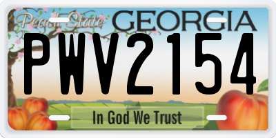 GA license plate PWV2154