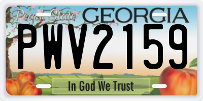 GA license plate PWV2159