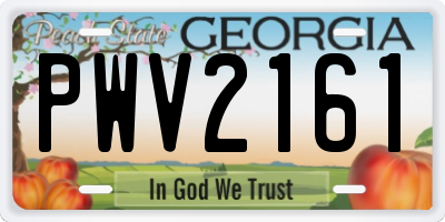 GA license plate PWV2161