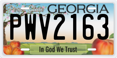 GA license plate PWV2163