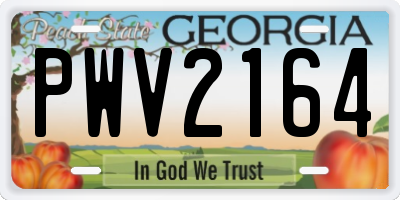 GA license plate PWV2164