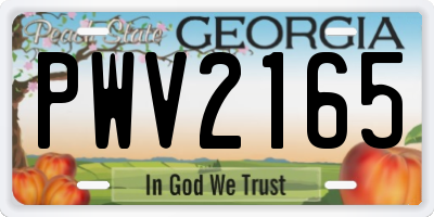 GA license plate PWV2165