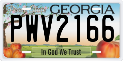 GA license plate PWV2166