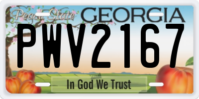 GA license plate PWV2167