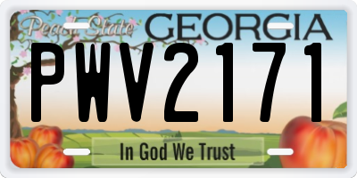 GA license plate PWV2171