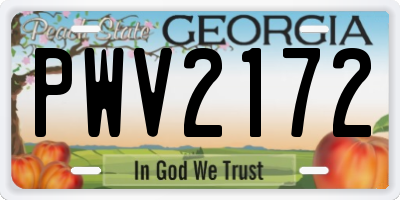 GA license plate PWV2172