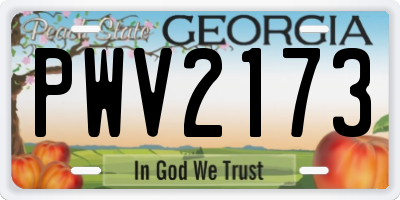 GA license plate PWV2173